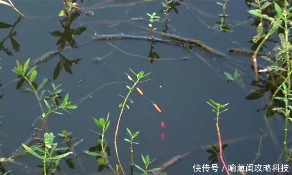 鱼钩|钓鱼必杀技久坐无鱼咬钩,试试这些狠招数,咬钩量翻几倍