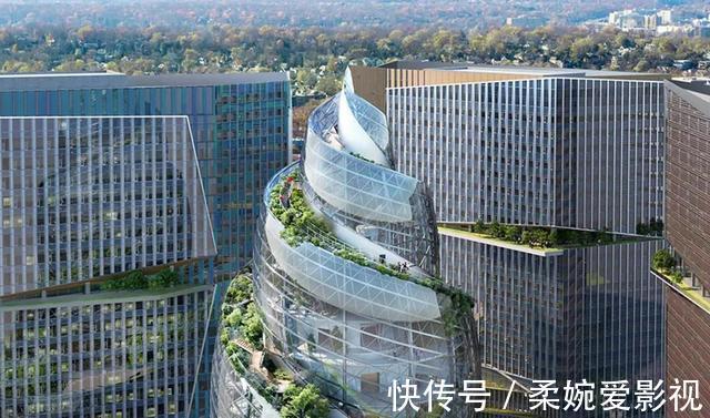 大楼|亚马逊新总部大楼方案问世，巨吸睛！网友：这不一坨笋吗？