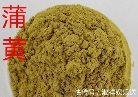 火腿肠|路边水沟里,长满火腿肠,比花还好看,赶快采一把,一年吃不完