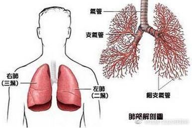 手指|身体这4个部位疼痛 警惕是肺癌早期的信号