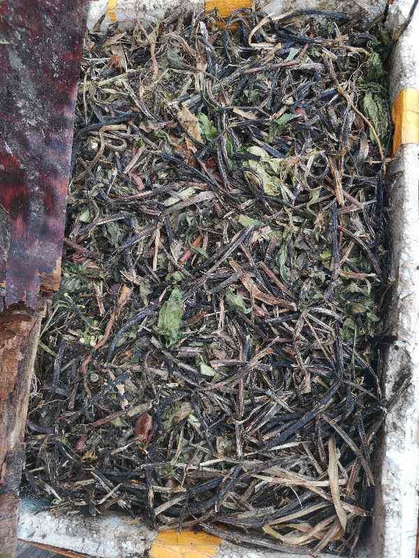 换盆后的旧土别扔，掺上4种东西，土肥得“流油”