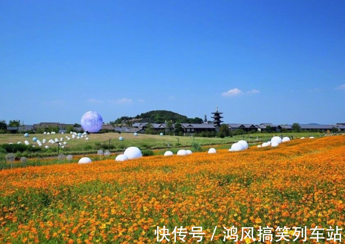 梵天花海|国内最佛系的小镇！禅意十足似人间仙境，可以让人瞬间将烦恼忘记