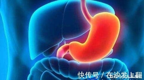 食物|胃不好,几种食物换着每天吃一点,修复胃黏膜,养出好胃!