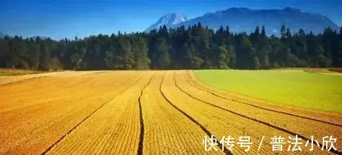 集体经济|征拆赔款找,查了才知有这么“多”…