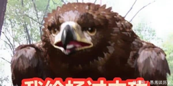 内功|小龙女:我教杨过武功,雕:我教杨过内功,她:都坐下吧!