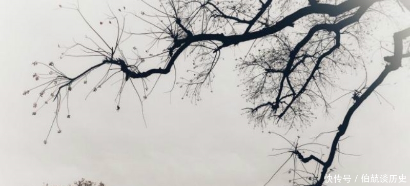 携手|刘禹锡与白居易不愧是好朋友,出门携手游玩,并为此还写下一首诗