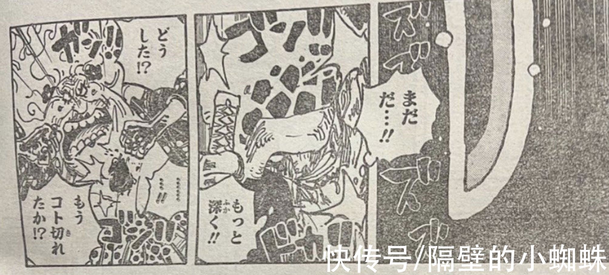 小蜘蛛|海贼王1039话，官方吐槽再现！尾田让罗强行重创大妈，实锤剧情杀