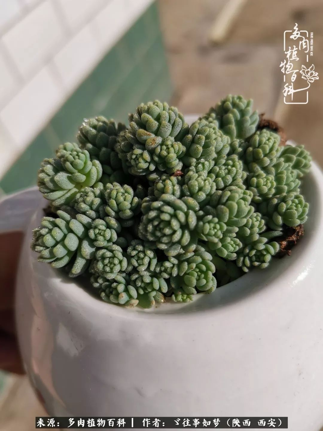 愿你付出甘之如饴，愿你所得归于欢喜！