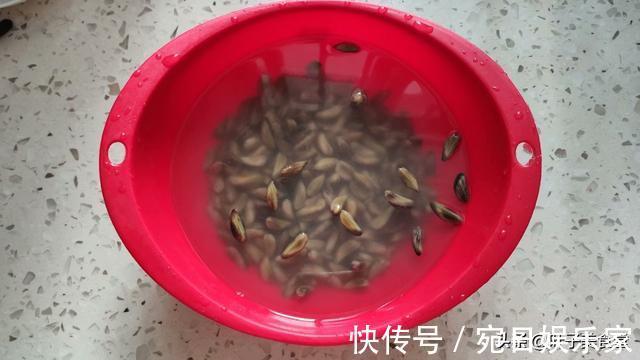 孩子|9月，宁可不猪肉，也要给孩子吃这菜，含钙丰富，比喝牛奶强