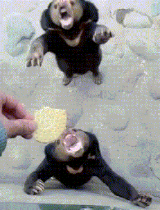 |搞笑GIF段子:有钱人玩的游戏,像我这种估计一脚下去就是一个脚印