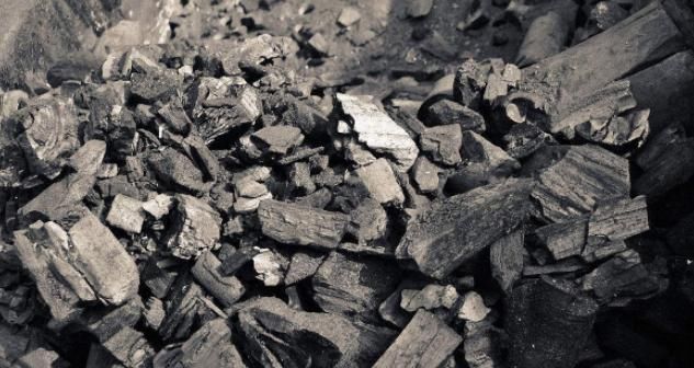 丢掉这些“废弃物”，养花损失可就大了