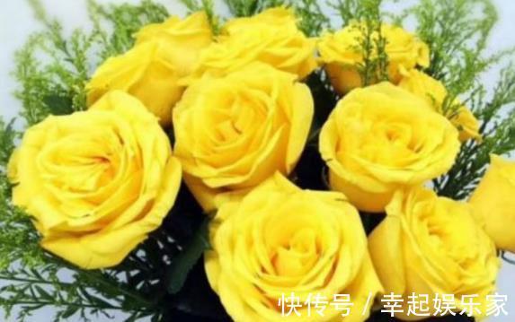 喜欢玫瑰,不如养“高端品种”永远的莫斯科,色泽鲜艳,妩媚娇羞