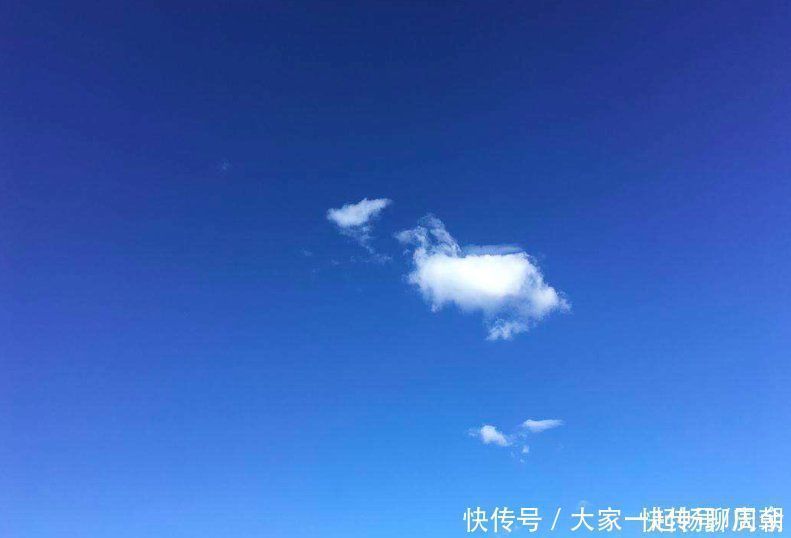 大鹏#李白很惊艳的一首诗,表面上句句是景,实际上句句写情