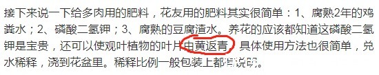 3个伪常识,不但对养多肉没帮助,甚至会害死肉肉,不要被误导