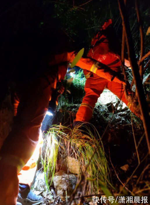 凌晨|张家界一男子上山采葛迷路被困，消防7小时紧急救援