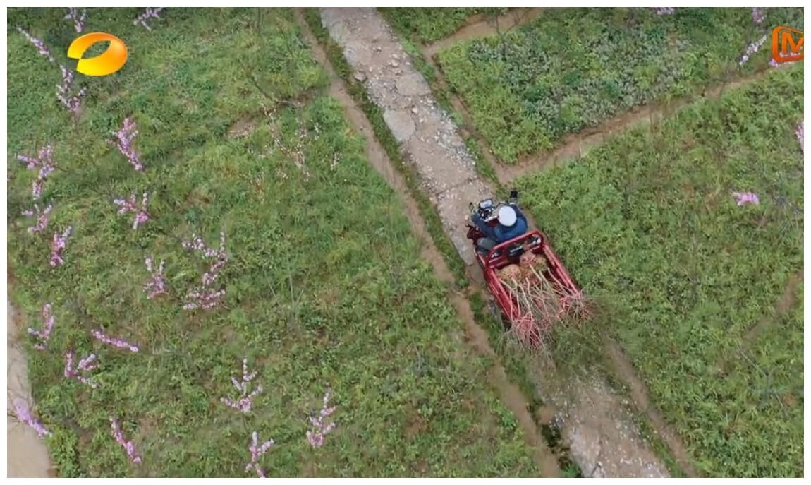 节目组|《向往的生活》顺利到不太真实，“下期预告”一细节戳破节目套路