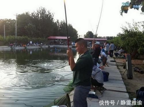 什么是黑坑,为什么现在很多鱼塘老板要求强制“回鱼”?