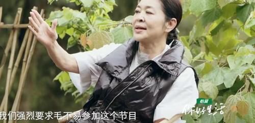 劉雨昕|倪萍多次cue毛不易，毛不易唉聲嘆氣！