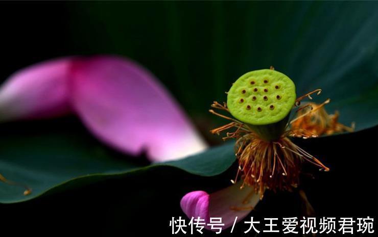 多言|一个人越来越走下坡路的两个征兆，大多是这两个字