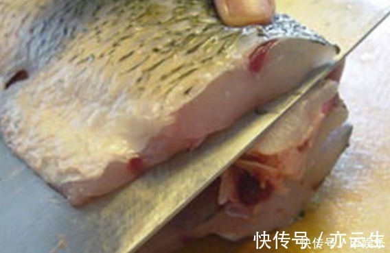 鲫鱼鱼体内寄生虫图片