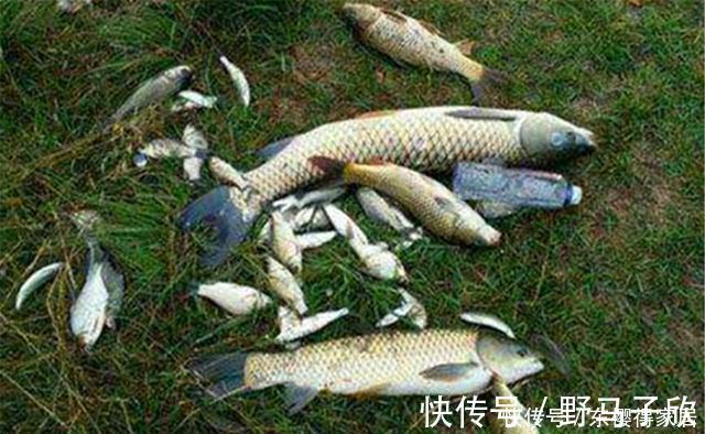 前辈|夏季钓鱼，这些钓鱼俗谚可以参考，钓鱼前辈的经验总结，很有道理