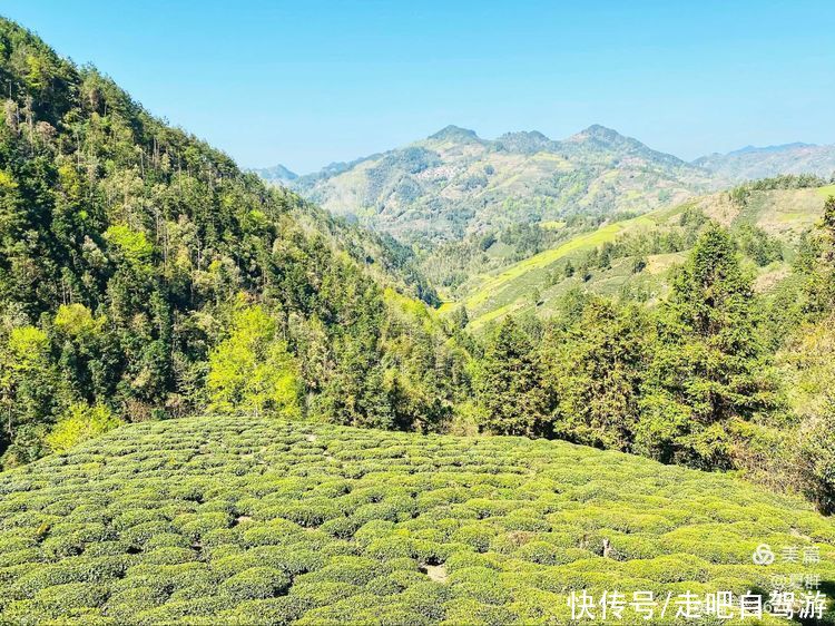 石潭|自驾安徽歙县，徒步游览安徽歙县石潭的美景