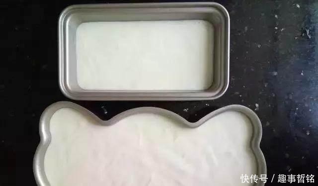 模具|一瓶酸奶就能做出一个蛋糕 好吃不胖哦