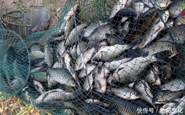 冬钓鲫鱼之6大忌讳,钓不到鱼不能怪低温,更可能是这些原因导致