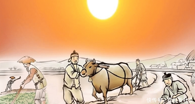 夸人|人们常说的:四体不勤,五谷不分,意思是骂人还是夸人呢?