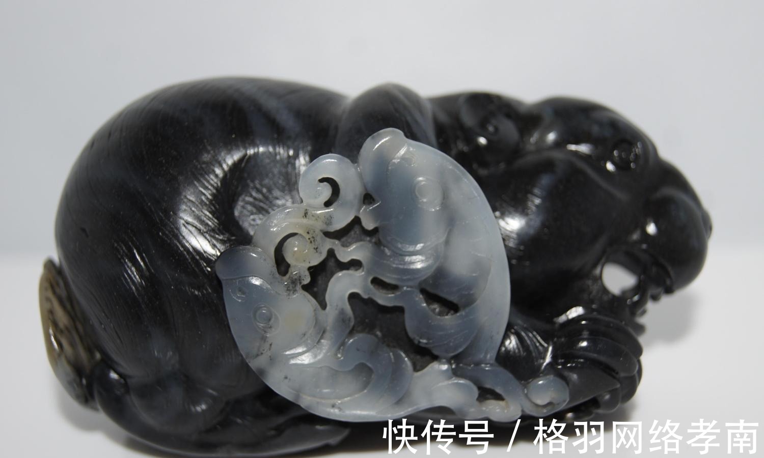 鲤鱼|在唐朝以前能够吃到鱼还真是件不容易的事情