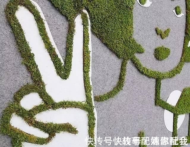 啤酒!他用酸奶、啤酒、苔藓把动物养在墙上,14天后的画面让人惊讶