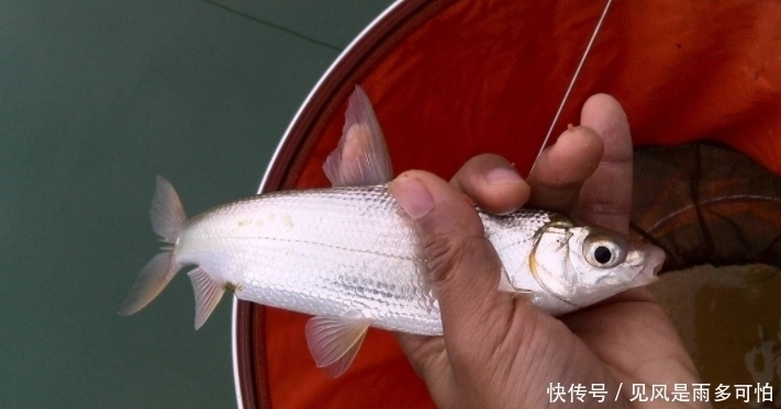 跟着高手去钓鱼,一样的鱼竿,一样的鱼饵,我怎么就空军?