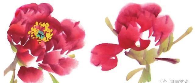 形态|紫、红牡丹花头写意画法与形态参考