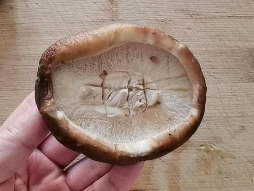 年夜饭-团团圆圆香菇粉丝，香菇这样做，