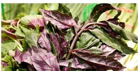 常吃|农村一种野菜，人称“红凤菜”，以前常吃，却不知是有毒的