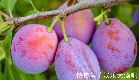 秋天|女性不想老太快,学会吃三种食物,排毒消脂,润肤养颜,有益健康