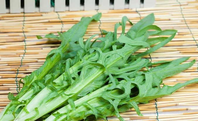 润肠通便|担心老太快,建议吃4种食物,润肠通便,排毒清脂,提高免疫力!