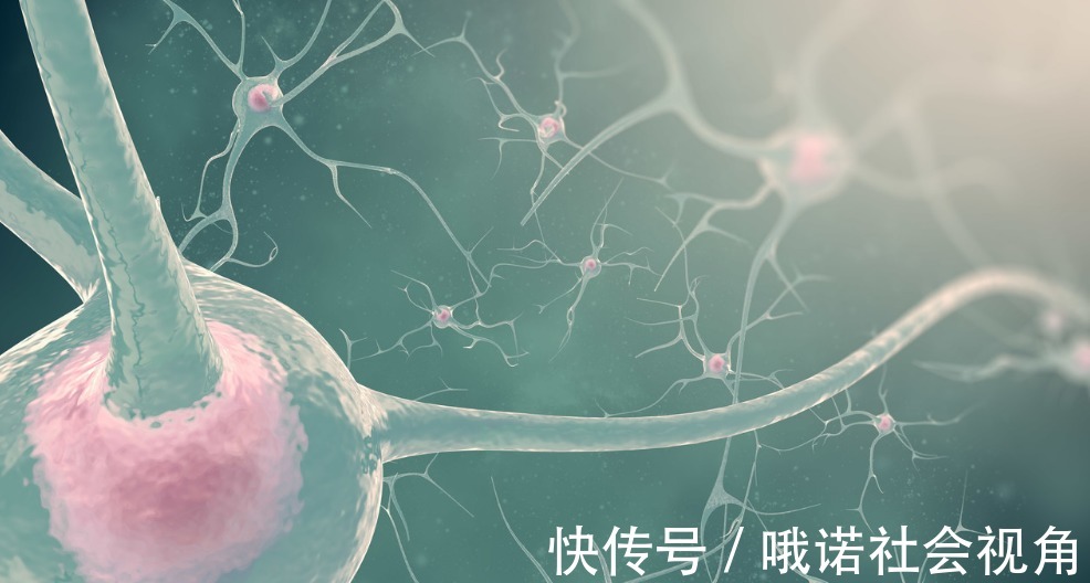 不饱和脂肪酸|怎样做才算科学养生?百岁长寿老人给出的4个建议,让你受益匪浅