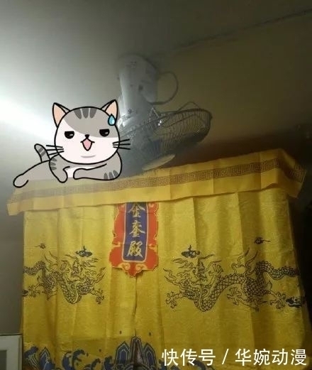 方便面|笑开了花的”网购“买家与卖家的斗争，真是不一般