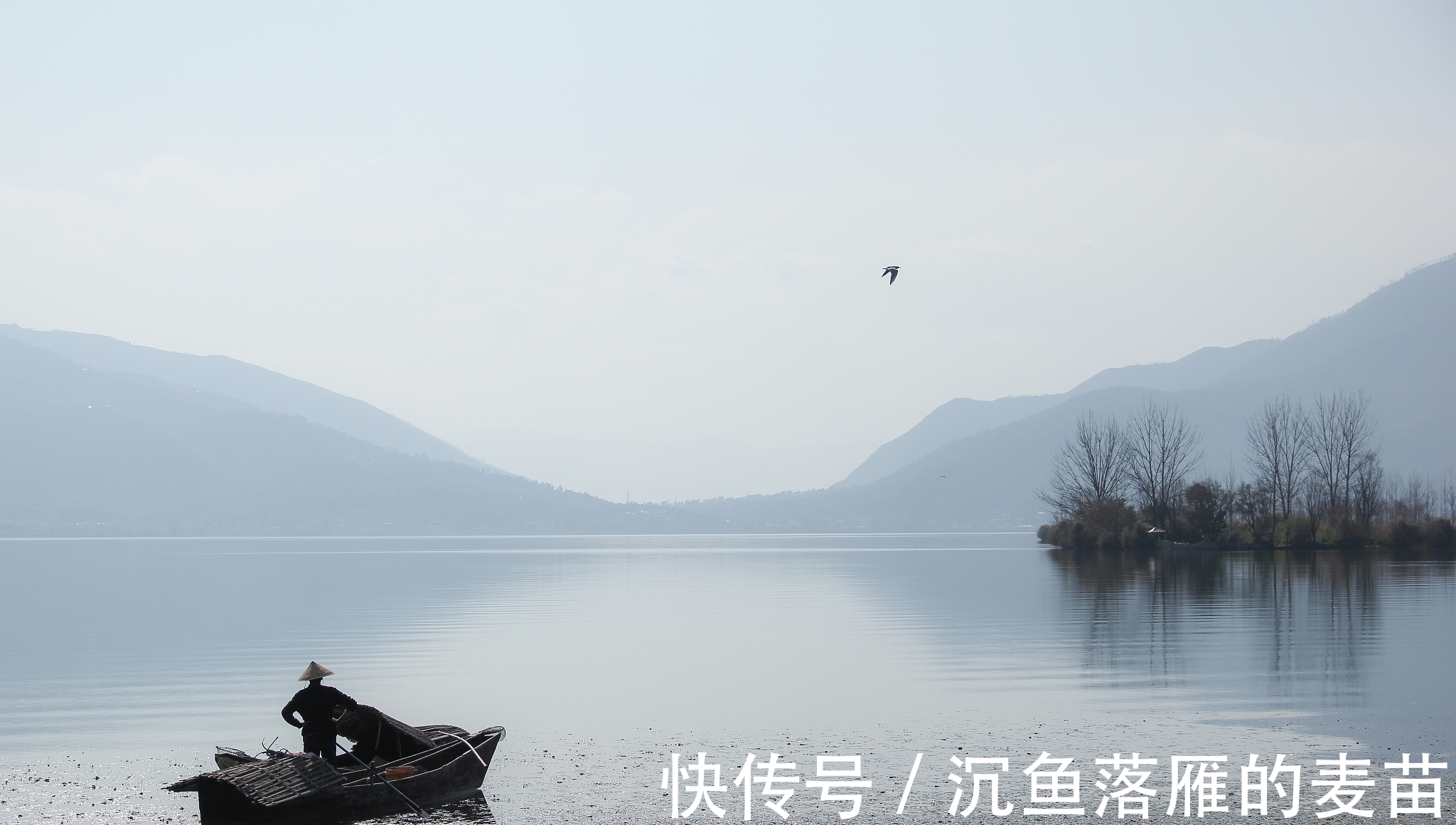 新手|新手野钓:关注细节 使你钓技突飞猛进