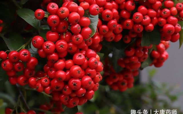 茄子|醫生提醒：肝臟不好，除了吃茄子外，做好3事，養肝護肝百病消除