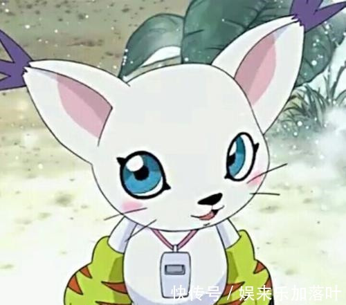 数码兽合体战争|数码宝贝巫师兽两条进化链,一半光明,一半黑暗,能秒杀小丑皇