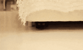 |搞笑GIF:不同年龄女人走路的区别