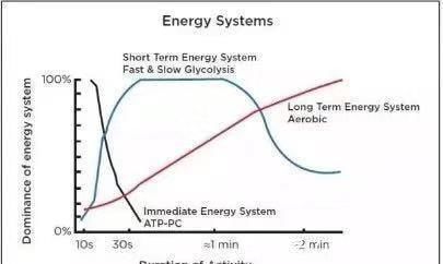 供能|作为跑者你知道跑步时身体是怎样供能的吗?揭秘人体三大供能系统