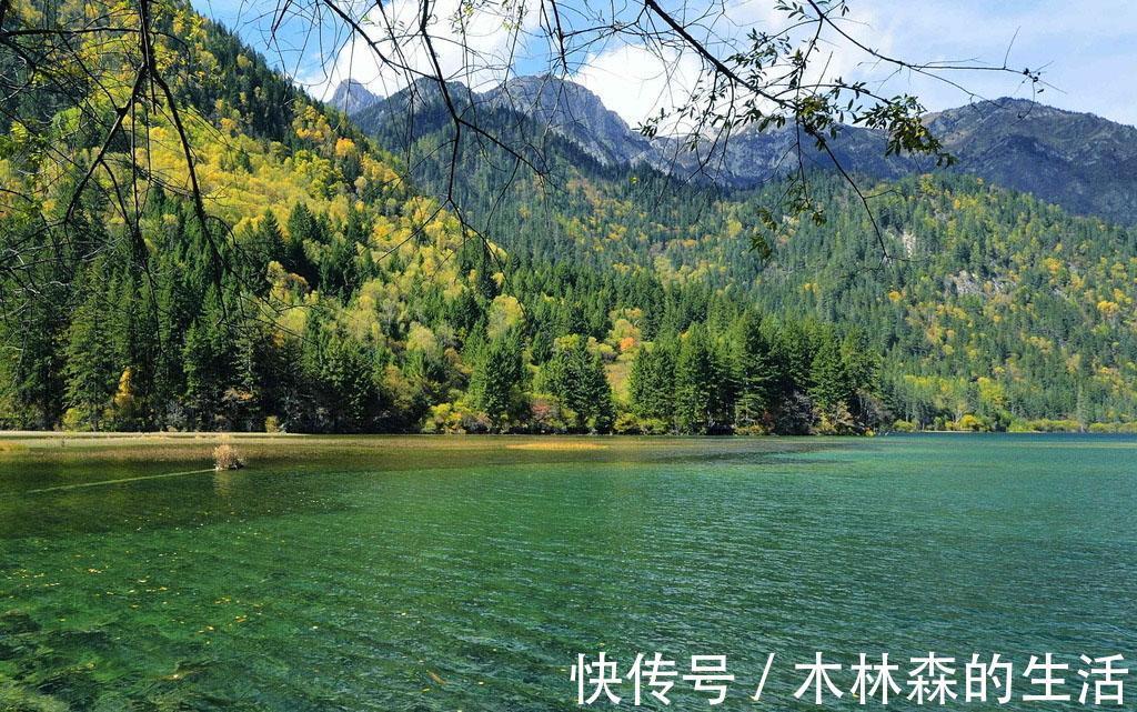 膏药|颈椎病肩周炎怎么办？办公室最火的膏药贴测评合集