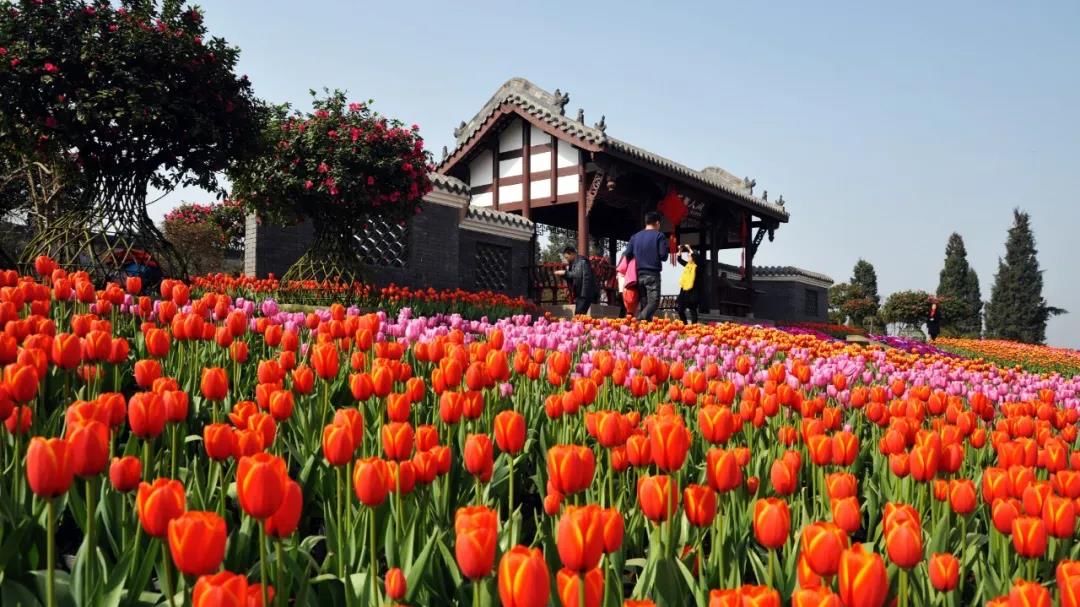 戳进来！就地过年，四川这些景区向以下人群免费开放……