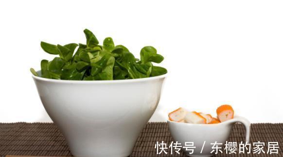 热爱运动|什么样的人更接近长寿?长寿人群大致有7个特征,看看你有没有