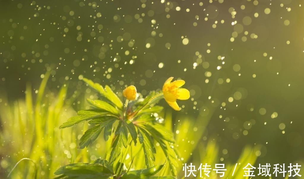 微雨&一首经典的咏雨诗，全诗无一个雨字，却句句写雨，淅沥沥下了千年