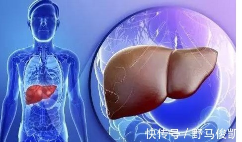 银耳|肝不好的人,红枣与“它”一起泡,坚持每天喝一杯,肝会越养越好