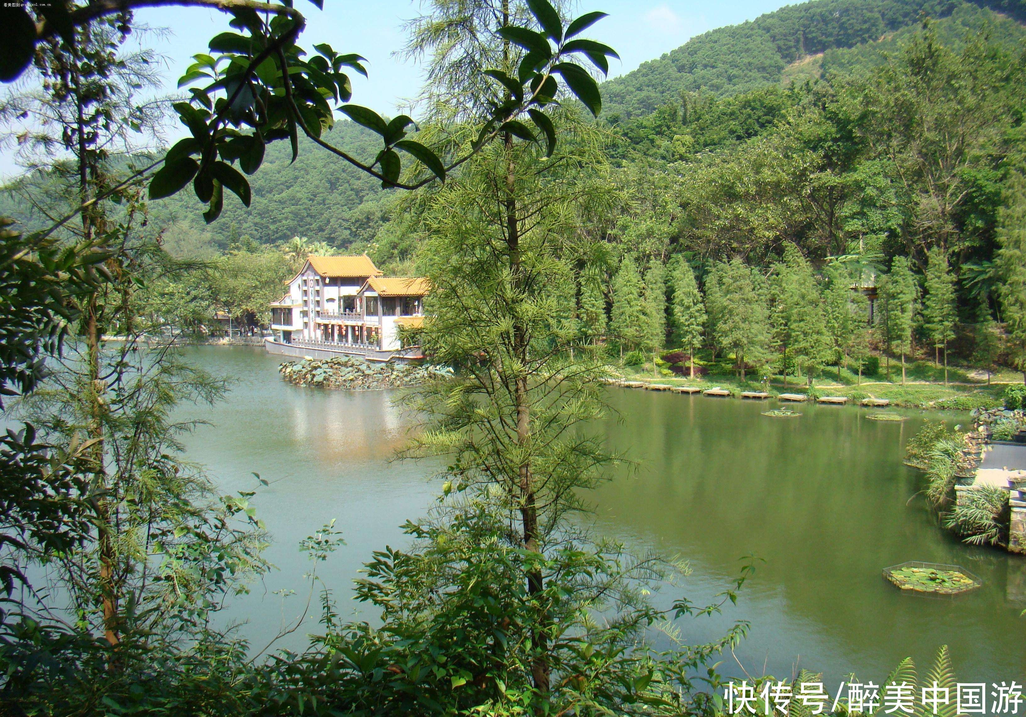 植物|深圳仙湖植物园，植物花卉形态各异，湖光山色，妙趣横生